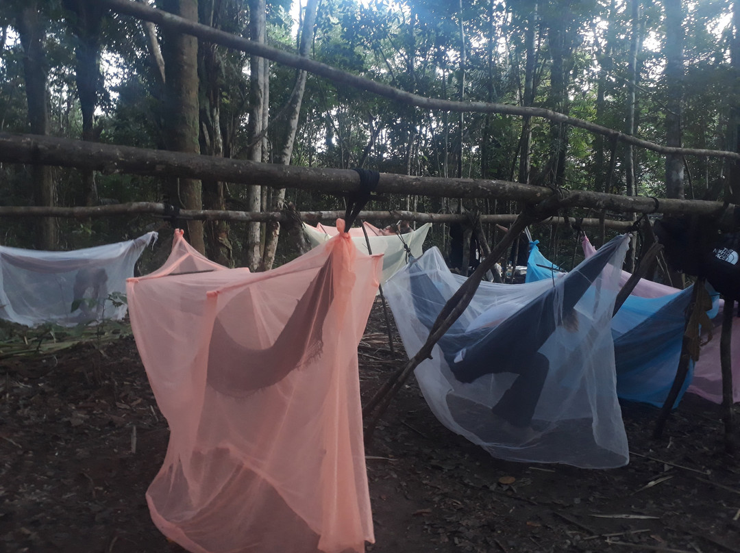 Amazon Gero Tours