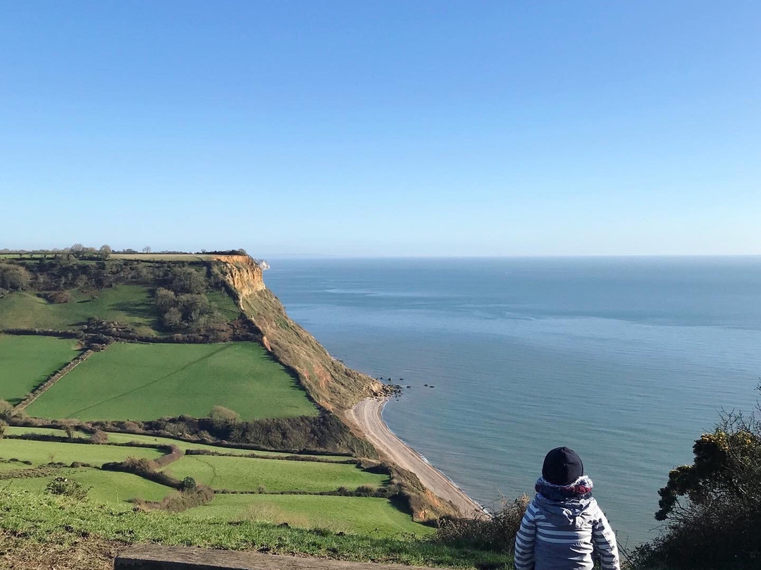 Salcombe Hill Walk-西德茅斯必去景点
