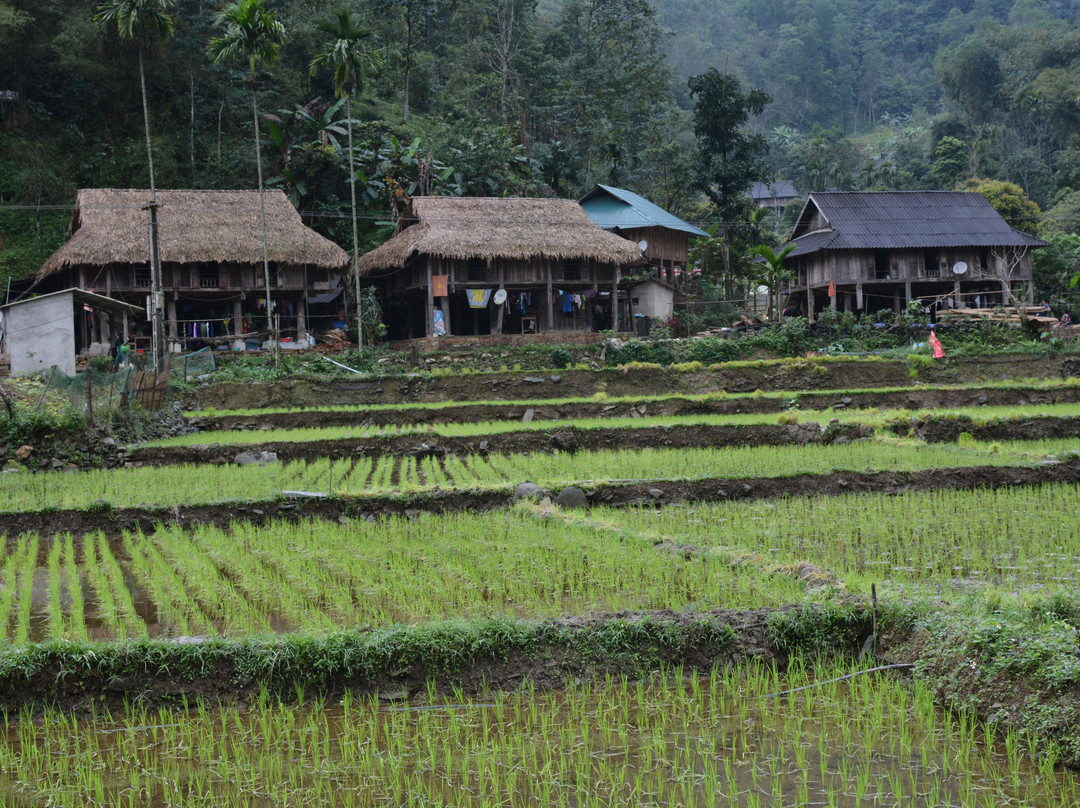 Local Tours PU LUONG景点图片