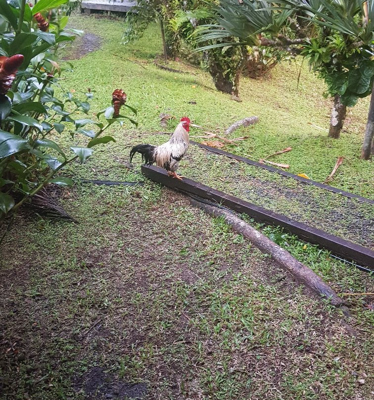 Le Domaine de la Vallee主图