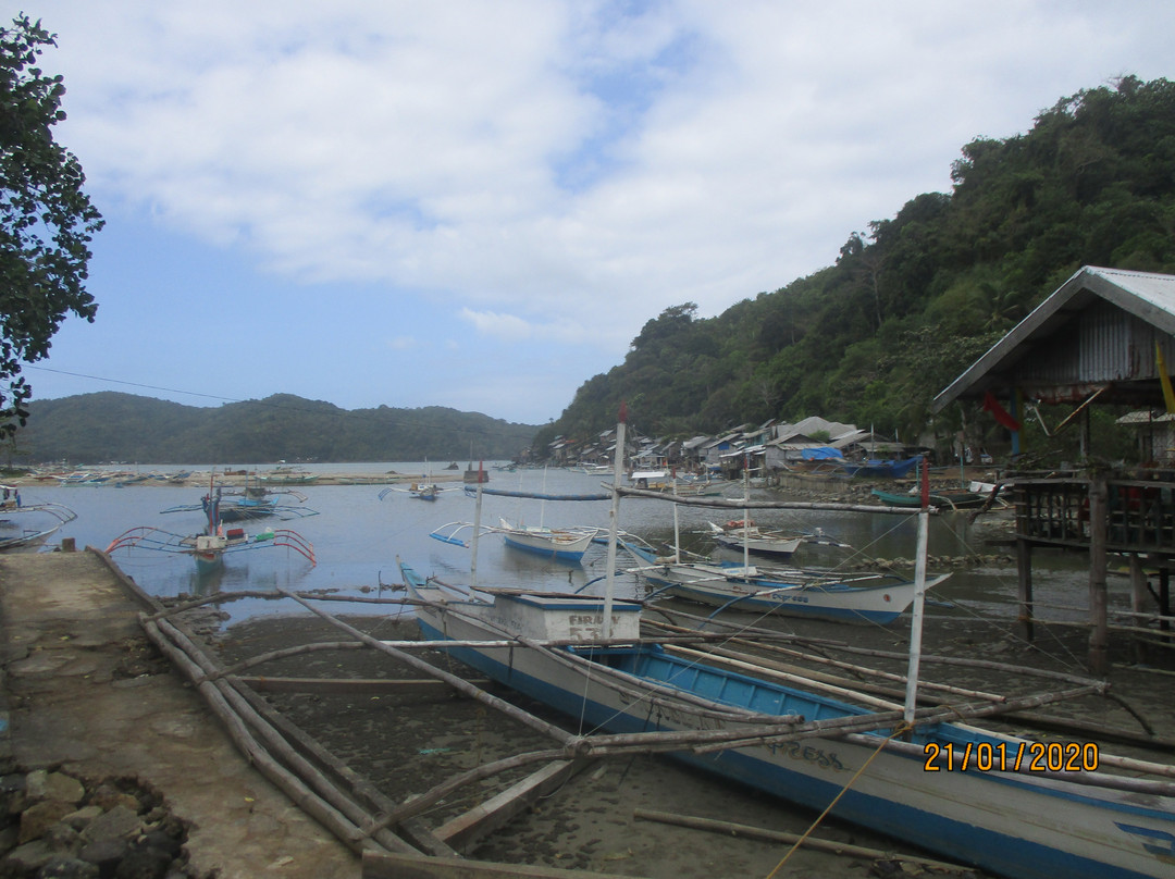 Bucana Beach-爱妮岛必去景点