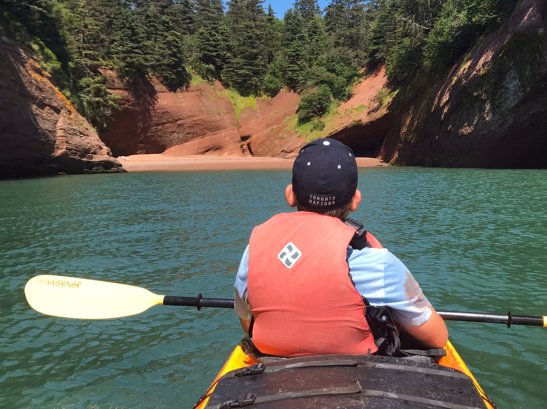 Bay Of Fundy Adventures-St. Martins必去景点