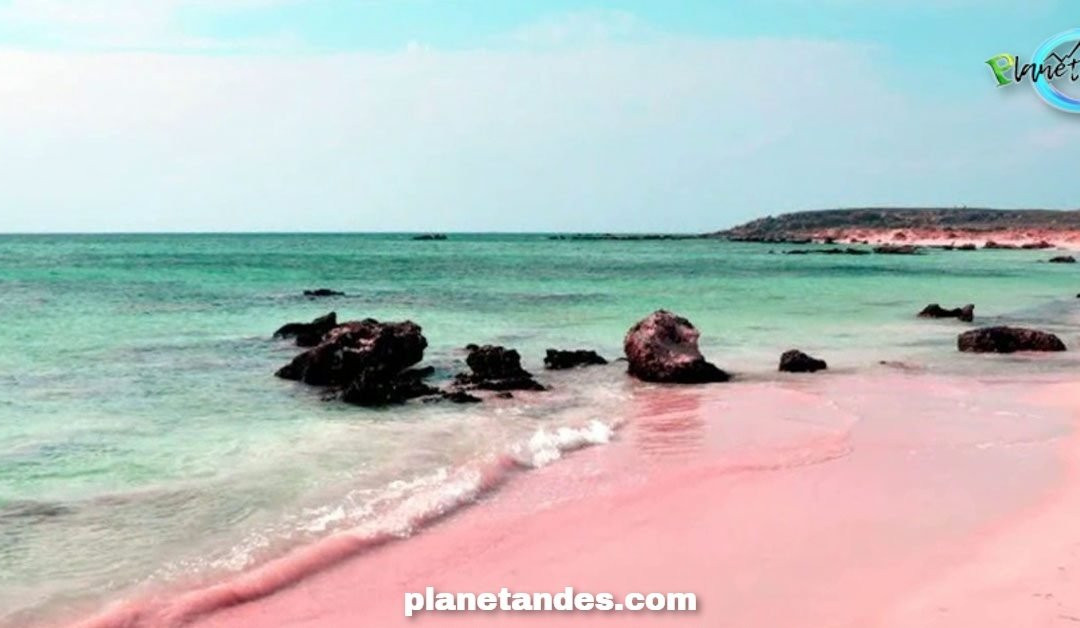 Playa Rosada景点图片