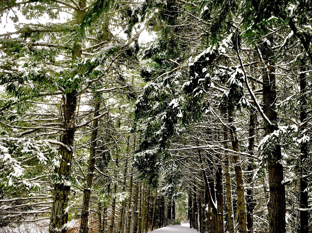 雷克戴尔三湖度假酒店主图