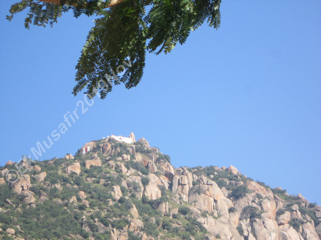 Amaragiri Malekal Tirupati Temple景点图片