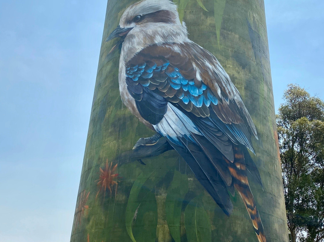 Deniliquin Water Tower Mural-Deniliquin必去景点