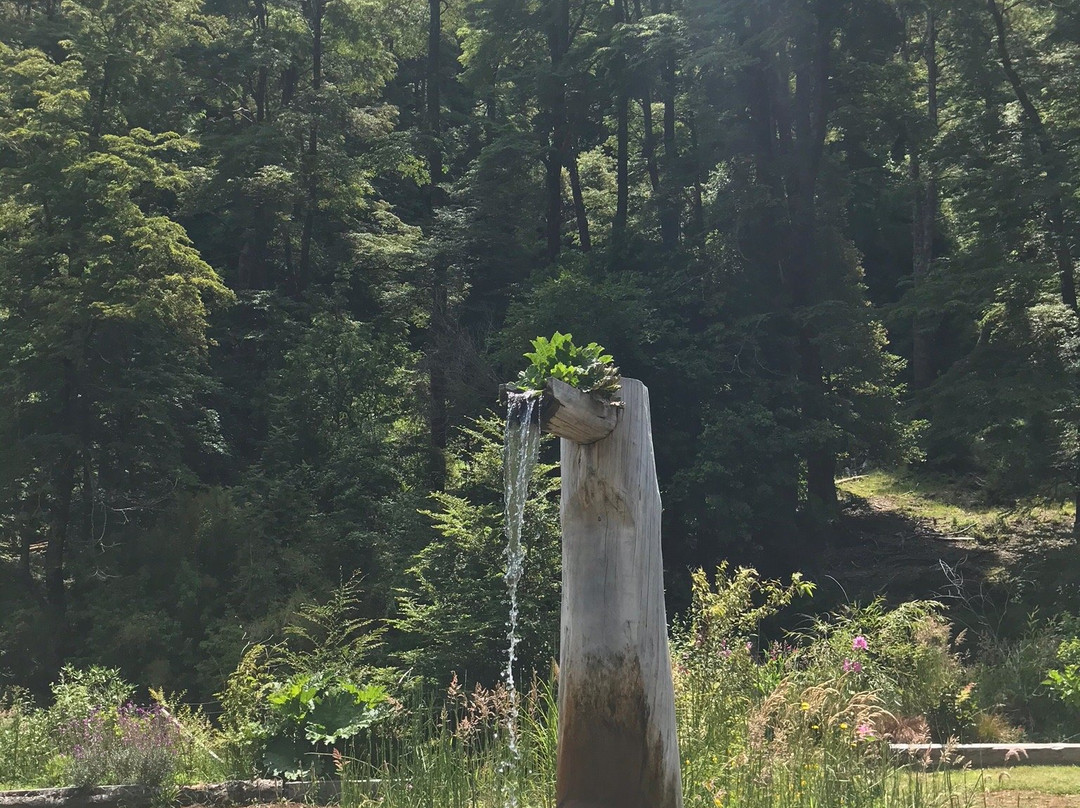 Termas Vergara-Conaripe必去景点