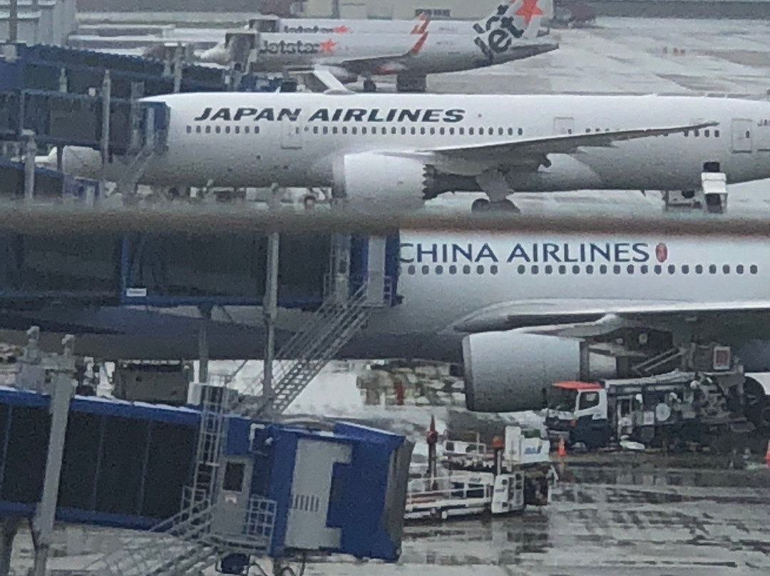 Nagoya Airport Observation Deck-丰山町必去景点