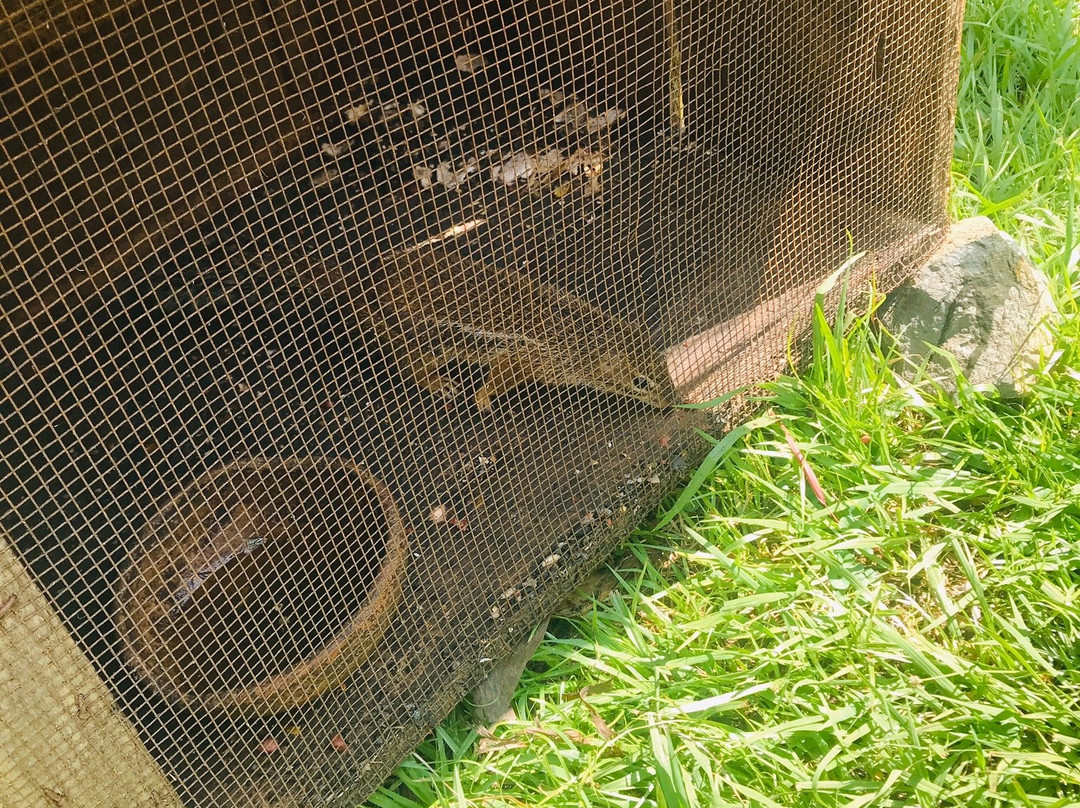 Nile Reptile Park-金贾必去景点