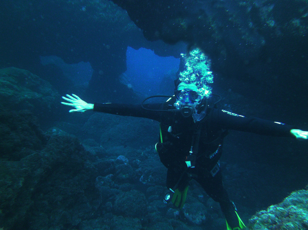 Blue Magma Diving La Palma景点图片