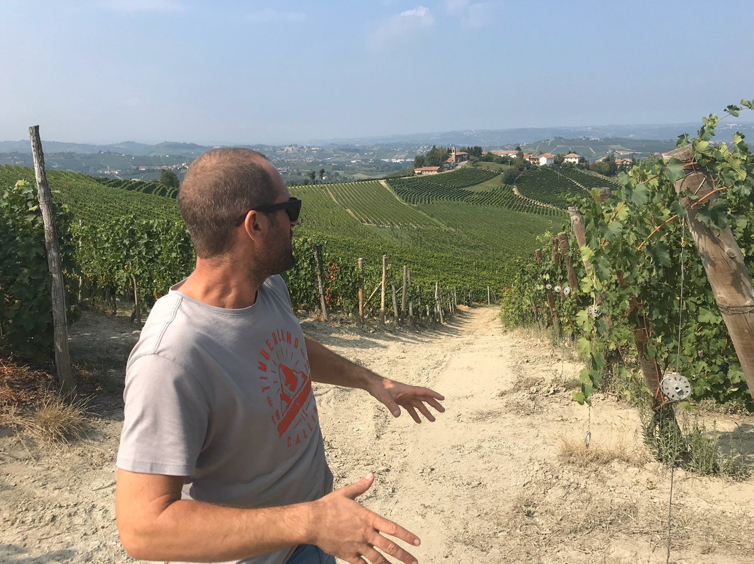 Langa Wine Tour-阿尔巴必去景点