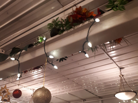 Jubilee Queen Cruise Lines-多伦多必去景点