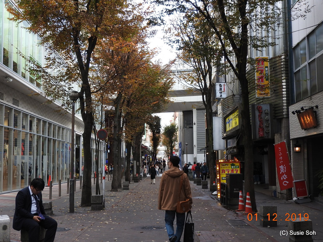 Kamitori Shopping Street景点图片
