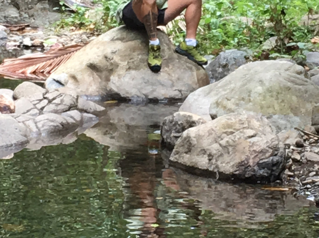 普金伊别墅主图