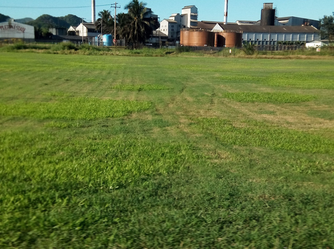 The Joy Spence Appleton Estate Rum Experience-Siloah必去景点