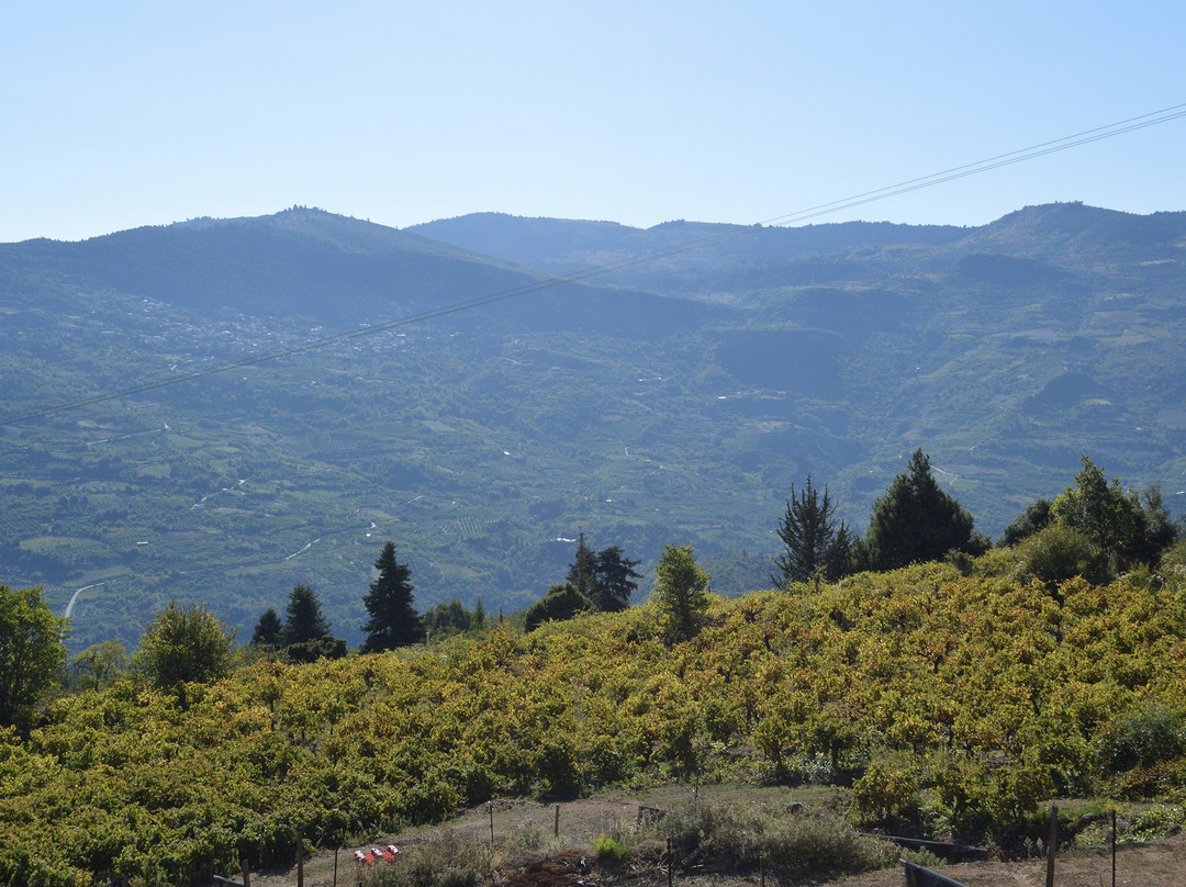 Guesthouse Diochri主图