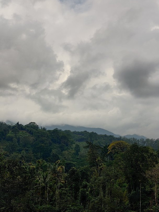 Wayanad Travel Guide - Day Tours-卡尔贝塔必去景点