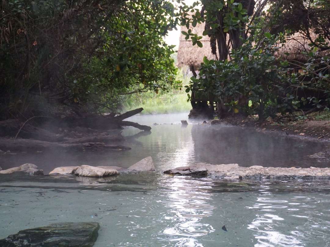 Kapishya Hot Springs景点图片