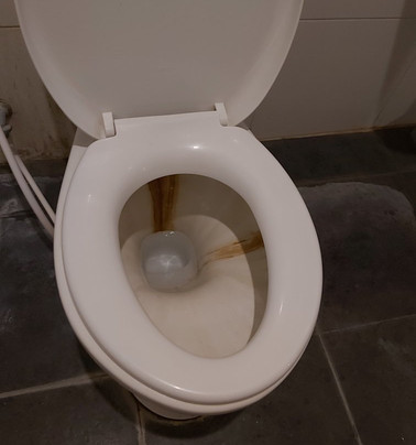 OYO 1655 Grand Senggigi Hotel主图