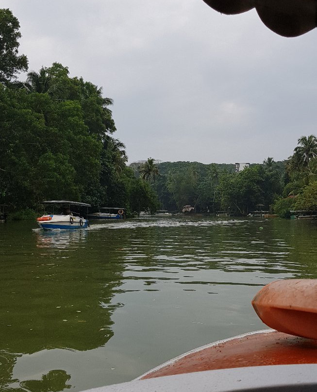 Poovar Backwater Cruise景点图片