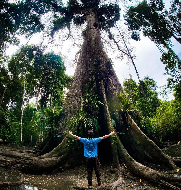 亚马逊新奇库伊山林小屋主图