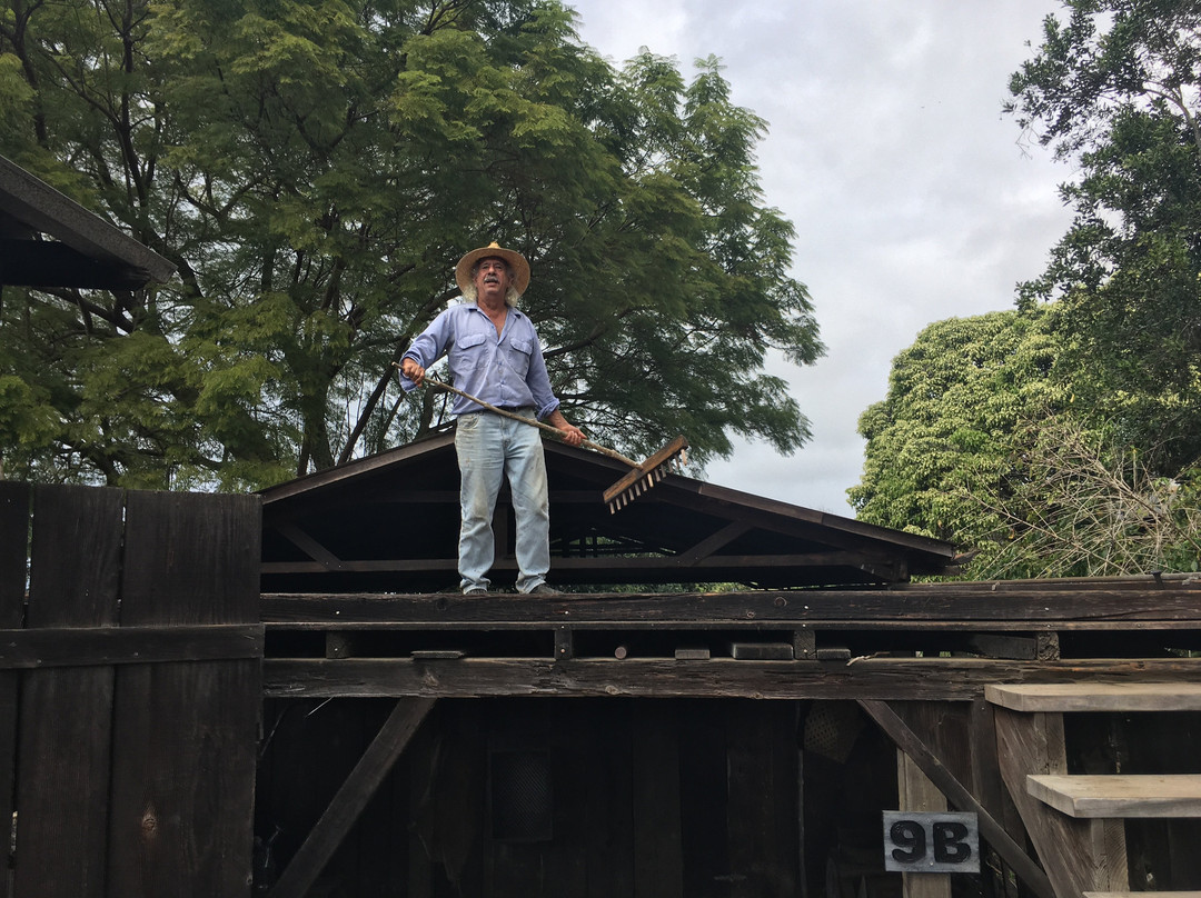 科纳咖啡历史农园-库克船长必去景点