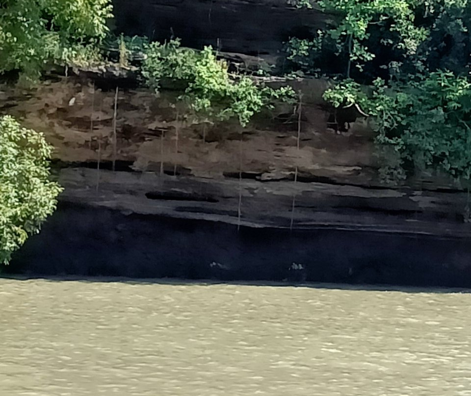 Panna National Park景点图片