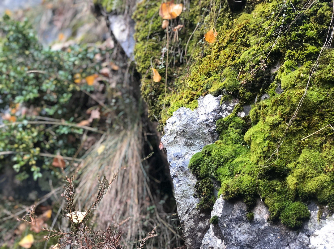 Rec del Sola-安道尔城必去景点