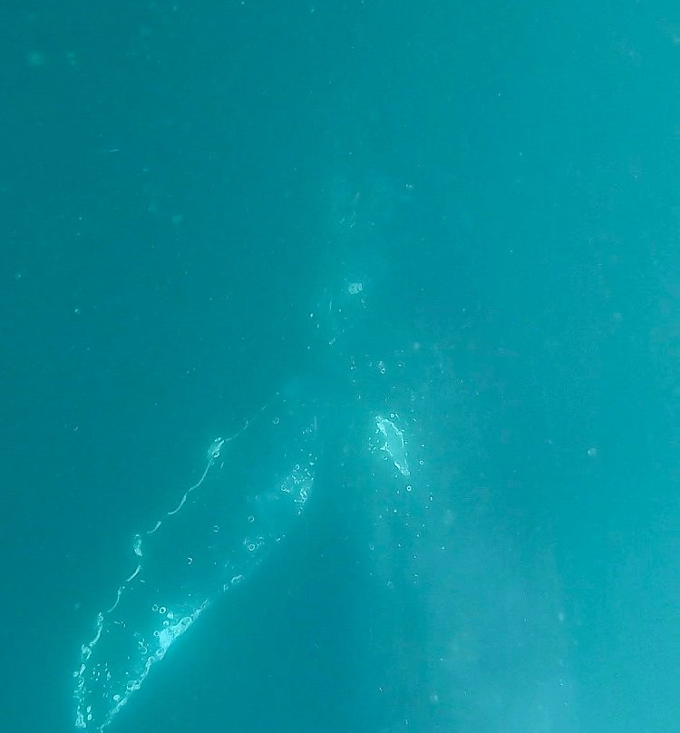 Wetu Safaris-Umkomaas必去景点