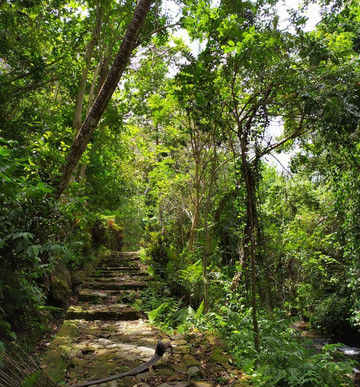 Mr. Bedu's Tours-乌布必去景点