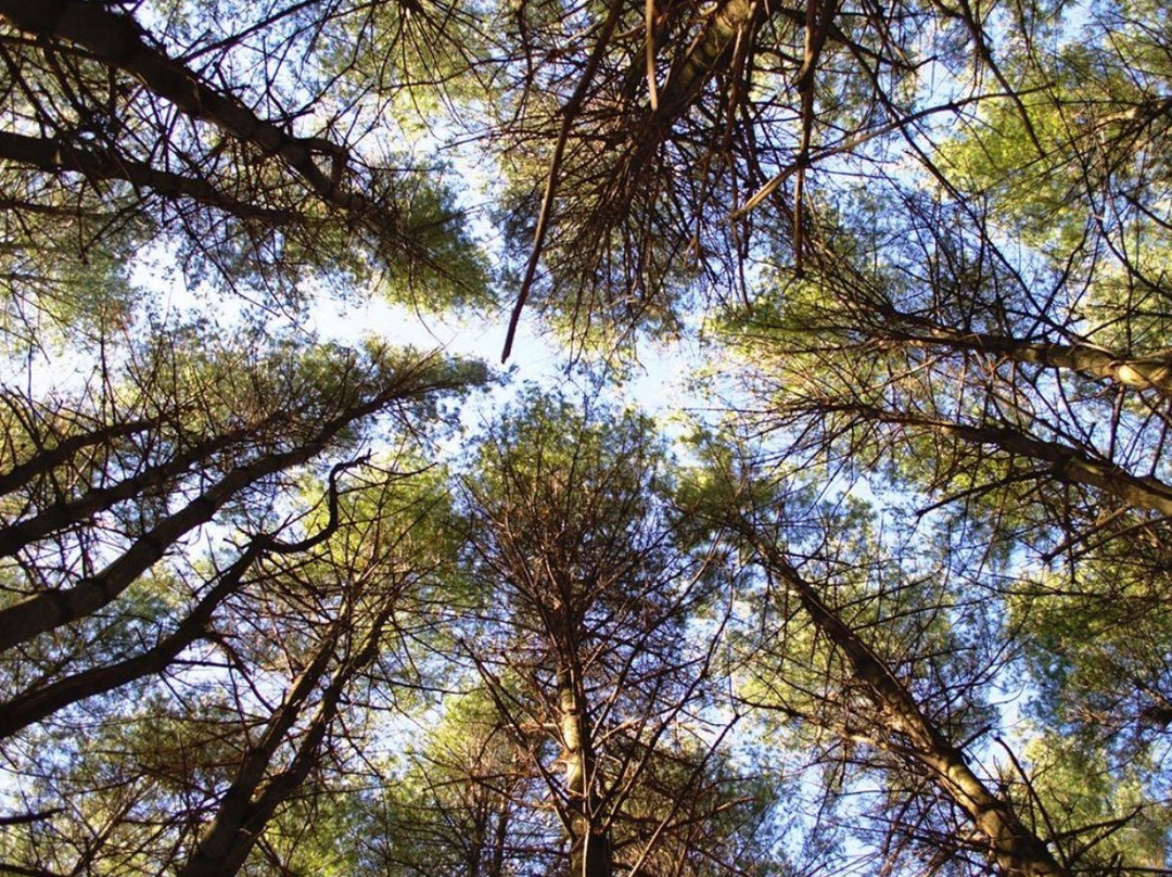 Killens Pond State Park-Felton必去景点