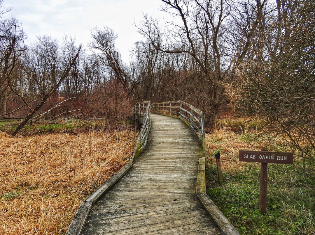 Millbrook Marsh Nature Center-宾夕法尼亚州学院必去景点
