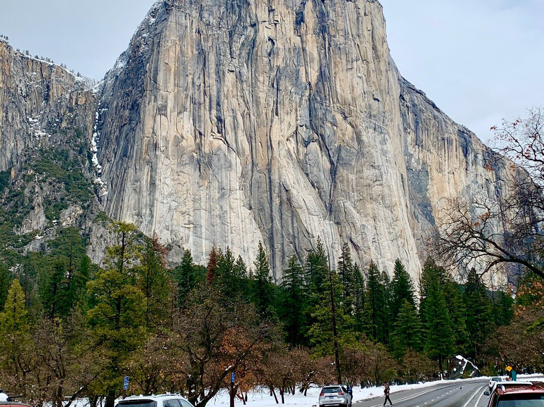 YExplore Yosemite Adventures - Day Tours景点图片