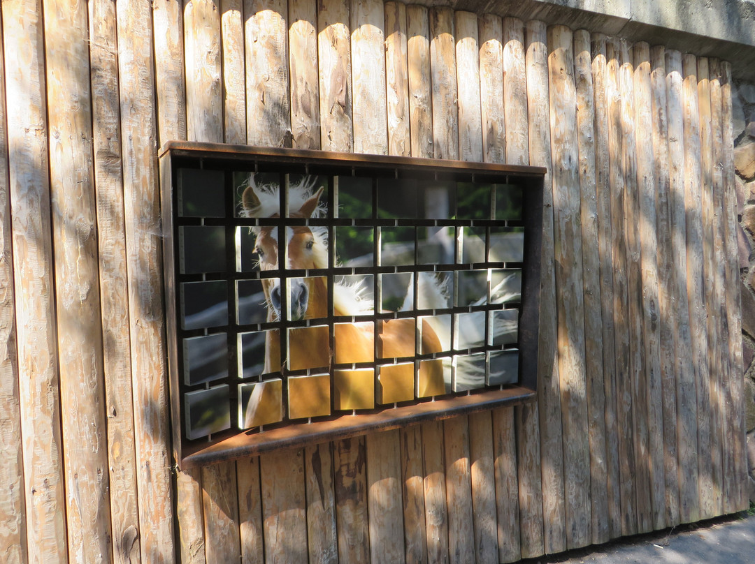 Sentiero d'Avventura del Cavallo Haflinger-Avelengo必去景点