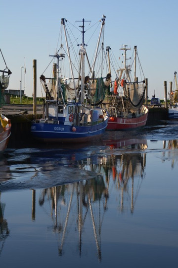 Kutterhaefen-Dorum必去景点