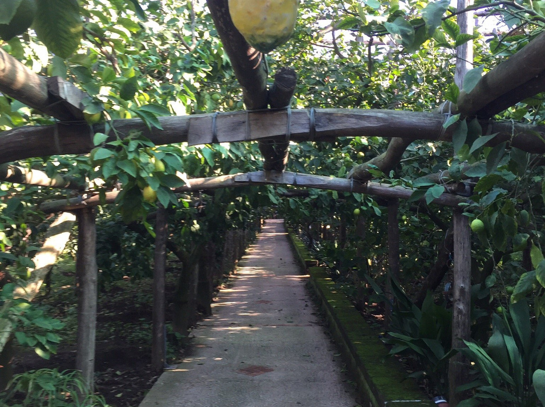 Agriturismo "Il Giardino di Vigliano"主图