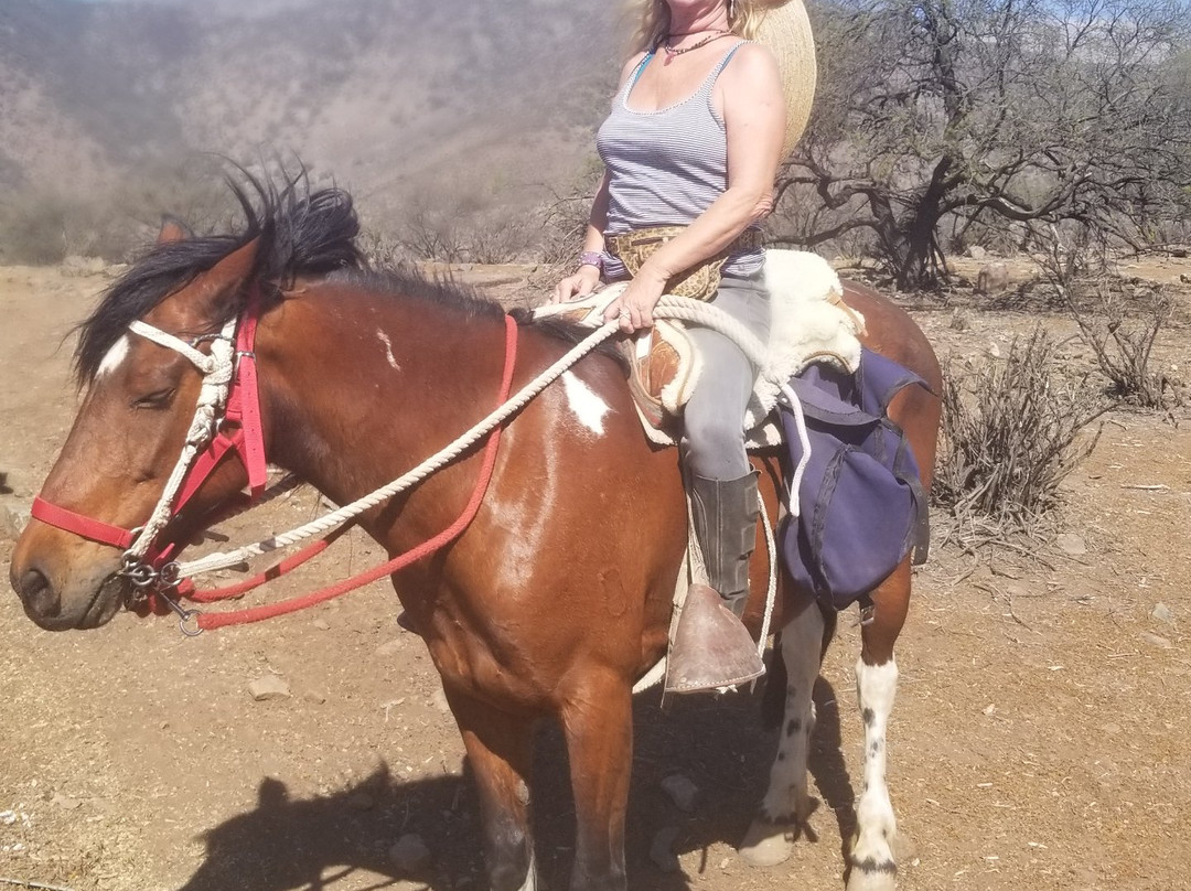 Cabalgatas Chiloe-Castro必去景点