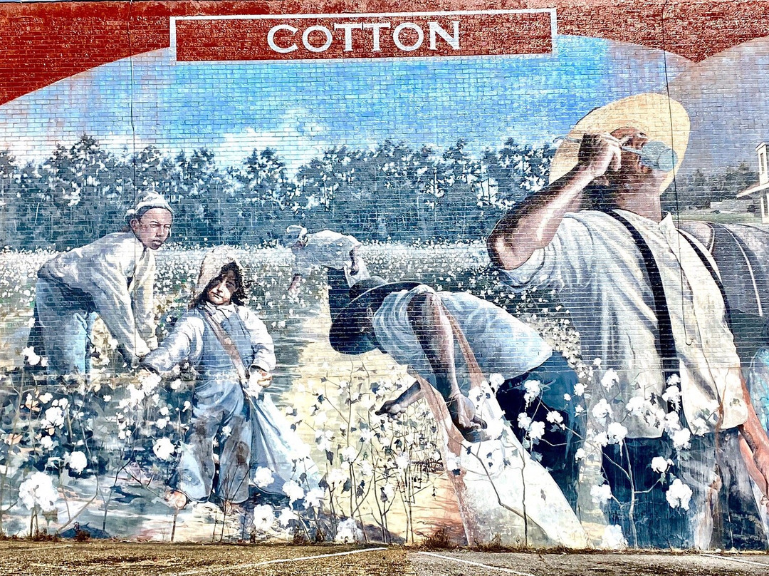 Murals of the Wiregrass-多森必去景点