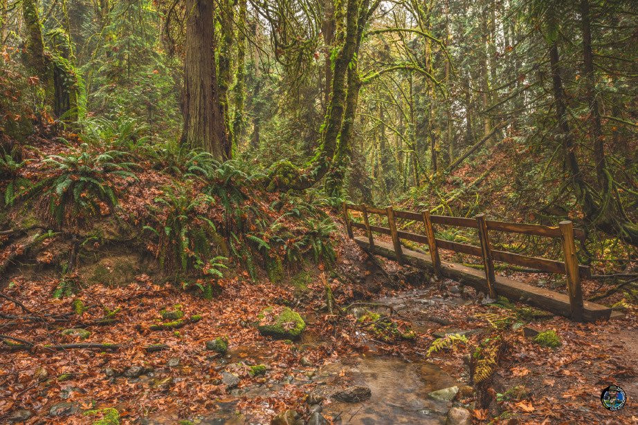 O. O. Denny Park-柯克兰必去景点