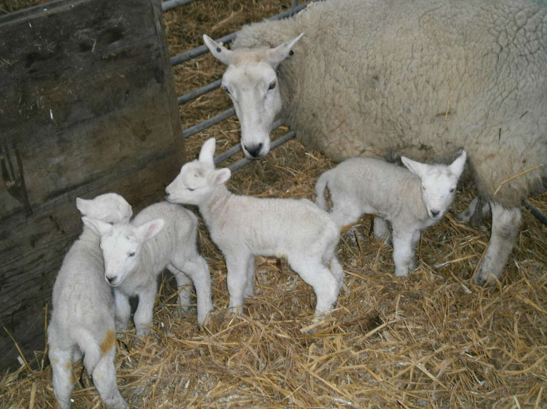Elmsted Court Farmhouse主图