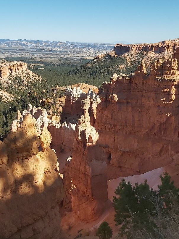 Bryce Canyon Scenic Tours景点图片