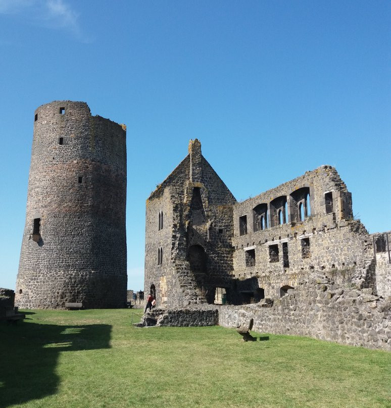 Münzenberg Castle景点图片