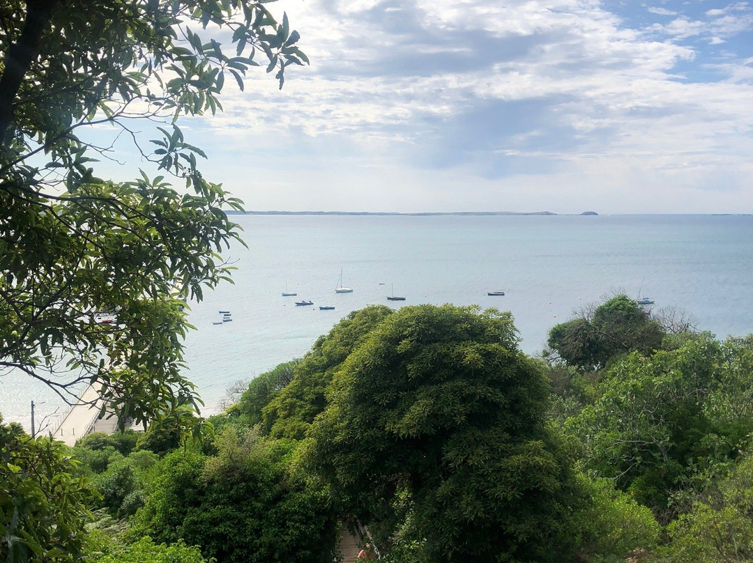 The Coastal Walk景点图片