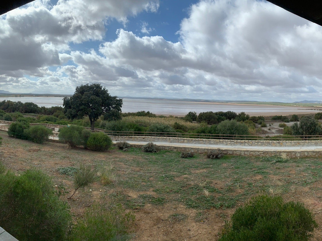 Laguna De Fuente Piedra-安达卢西亚必去景点