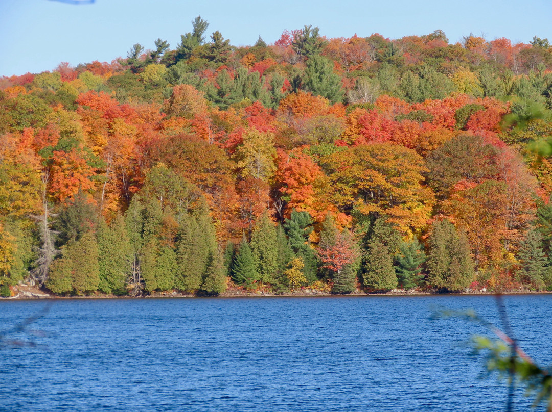 Meech Lake-加蒂诺必去景点
