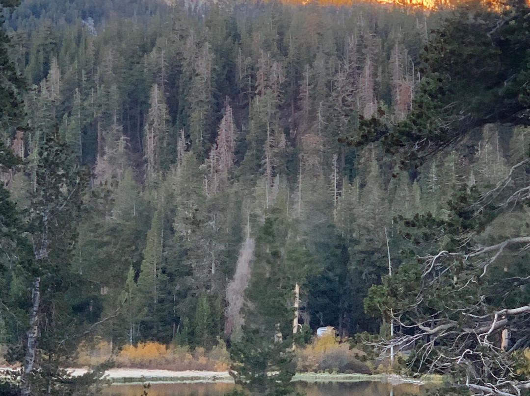 塔玛拉克小屋度假村主图