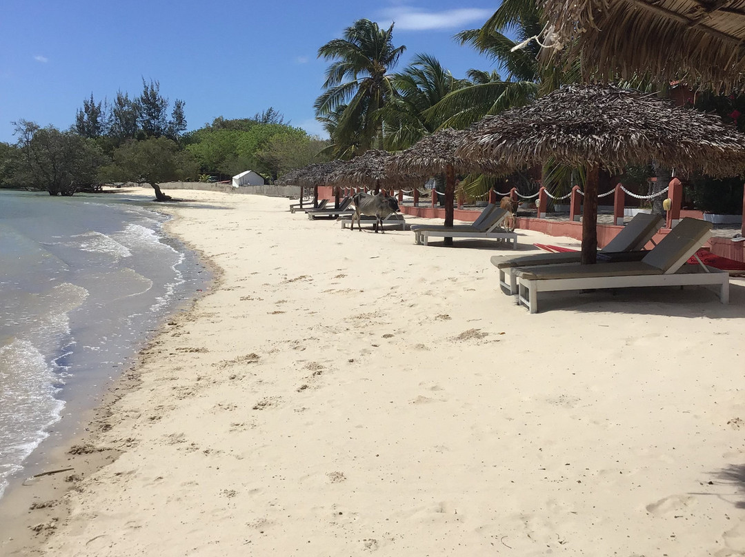 Hotel Meva Plage主图
