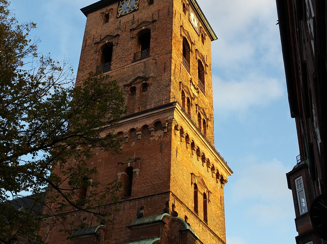 Sankt Nikolai Kirke景点图片