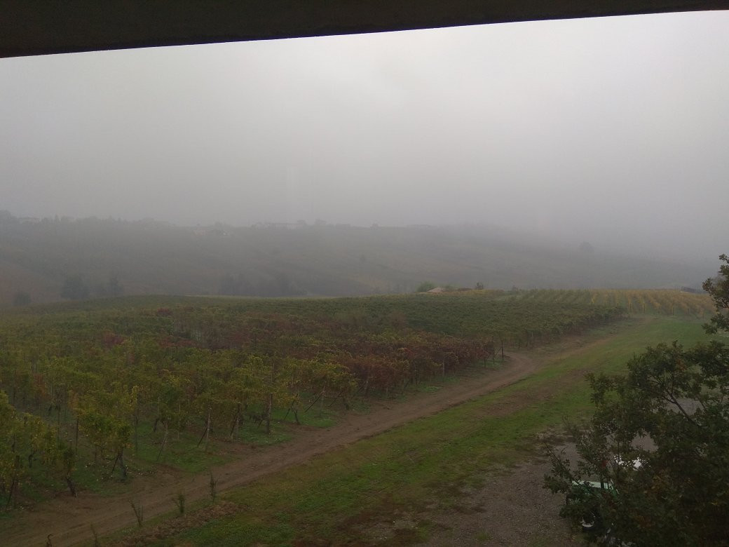 Azienda Agricola Lusenti景点图片