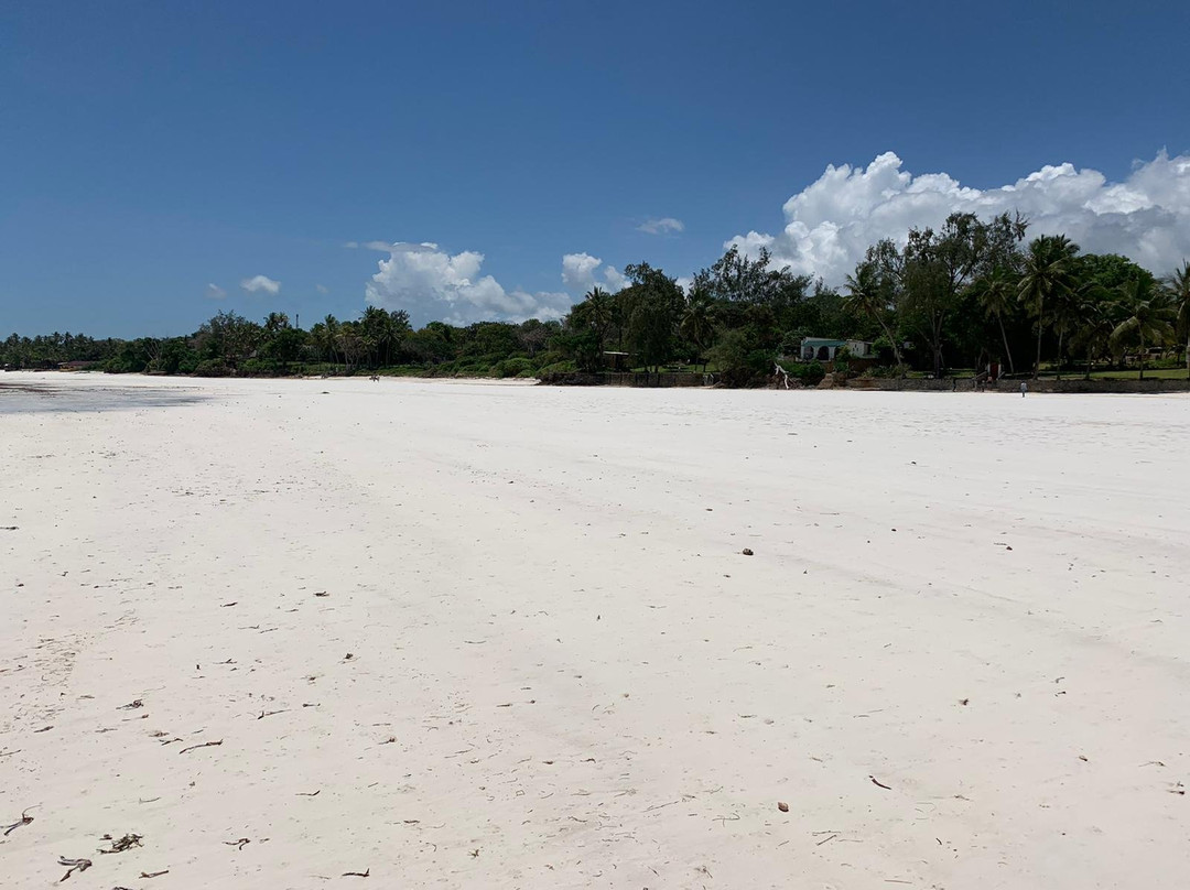 Galu Beach酒店住宿-Amber Villas Diani